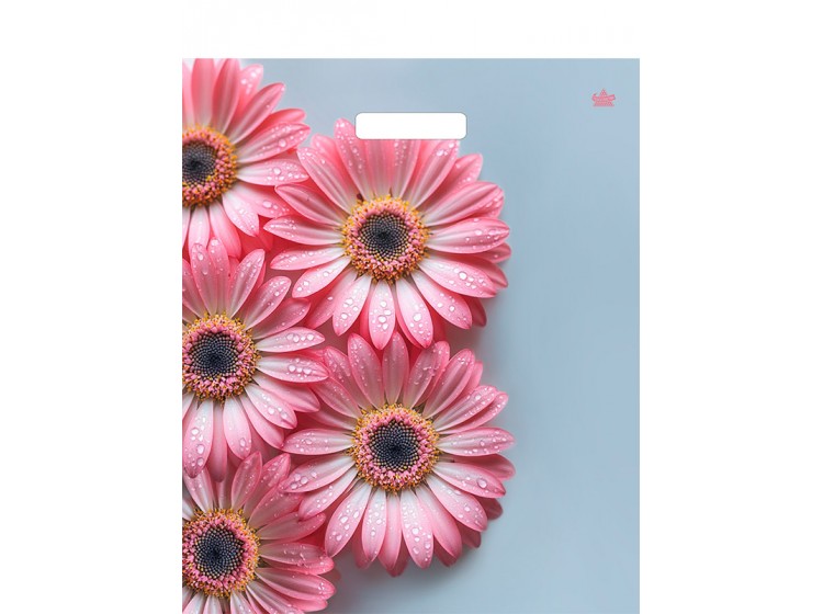 Мешок ламинат (выр.руч) 380*450 (60мкр) Герберы Шанис